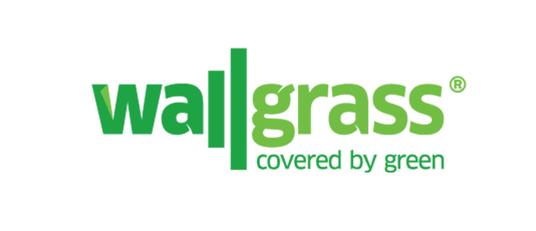 wallgrass